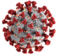 Coronavirus (Update 06.01.2022)